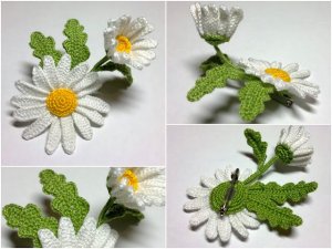 camomile_06