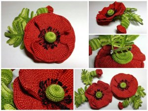 poppy1 (1)